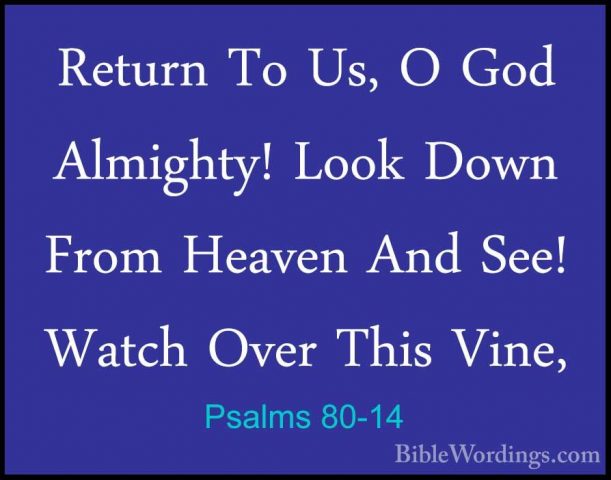 Psalms 80-14 - Return To Us, O God Almighty! Look Down From HeaveReturn To Us, O God Almighty! Look Down From Heaven And See! Watch Over This Vine, 