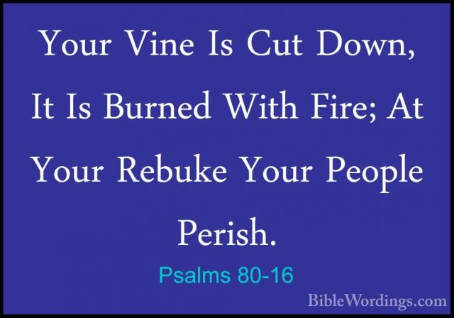 Psalms 80-16 - Your Vine Is Cut Down, It Is Burned With Fire; AtYour Vine Is Cut Down, It Is Burned With Fire; At Your Rebuke Your People Perish. 