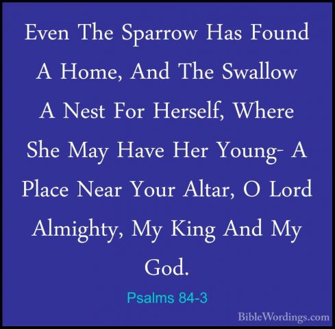 Psalms 84-3 - Even The Sparrow Has Found A Home, And The SwallowEven The Sparrow Has Found A Home, And The Swallow A Nest For Herself, Where She May Have Her Young- A Place Near Your Altar, O Lord Almighty, My King And My God. 
