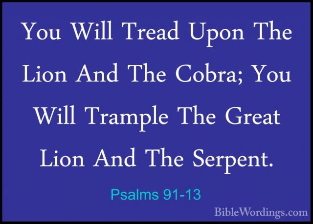 Psalms 91-13 - You Will Tread Upon The Lion And The Cobra; You WiYou Will Tread Upon The Lion And The Cobra; You Will Trample The Great Lion And The Serpent. 