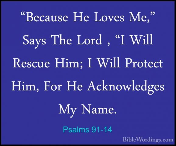 Psalms 91-14 - "Because He Loves Me," Says The Lord , "I Will Res"Because He Loves Me," Says The Lord , "I Will Rescue Him; I Will Protect Him, For He Acknowledges My Name. 