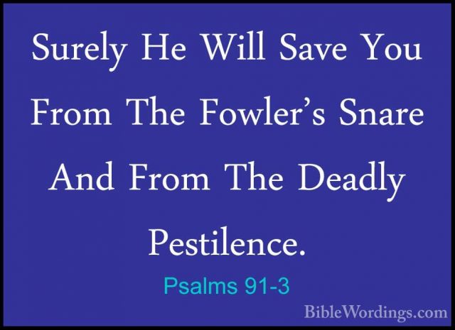 Psalms 91-3 - Surely He Will Save You From The Fowler's Snare AndSurely He Will Save You From The Fowler's Snare And From The Deadly Pestilence. 