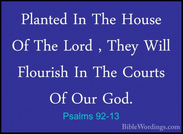 Psalms 92-13 - Planted In The House Of The Lord , They Will FlourPlanted In The House Of The Lord , They Will Flourish In The Courts Of Our God. 