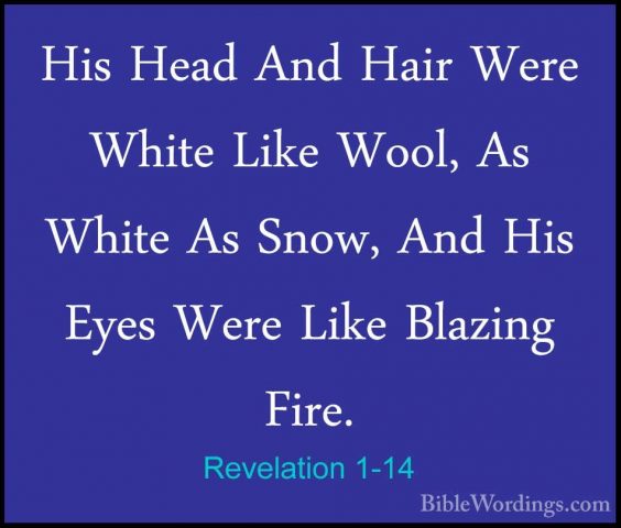 Revelation 1-14 - His Head And Hair Were White Like Wool, As WhitHis Head And Hair Were White Like Wool, As White As Snow, And His Eyes Were Like Blazing Fire. 