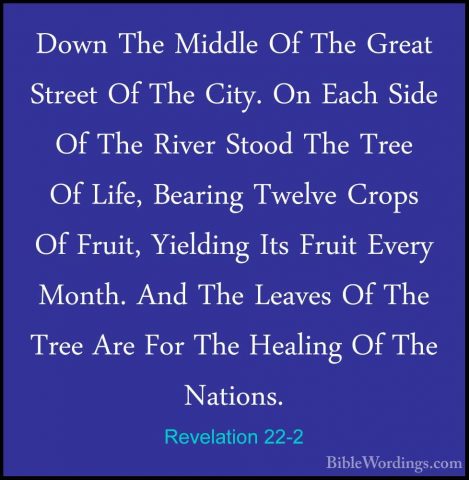 Revelation 22-2 - Down The Middle Of The Great Street Of The CityDown The Middle Of The Great Street Of The City. On Each Side Of The River Stood The Tree Of Life, Bearing Twelve Crops Of Fruit, Yielding Its Fruit Every Month. And The Leaves Of The Tree Are For The Healing Of The Nations. 