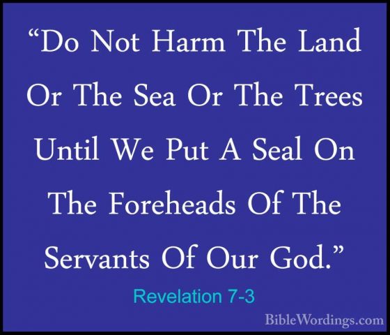 Revelation 7-3 - "Do Not Harm The Land Or The Sea Or The Trees Un"Do Not Harm The Land Or The Sea Or The Trees Until We Put A Seal On The Foreheads Of The Servants Of Our God." 