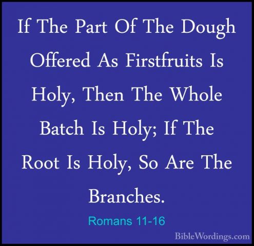 Romans 11-16 - If The Part Of The Dough Offered As Firstfruits IsIf The Part Of The Dough Offered As Firstfruits Is Holy, Then The Whole Batch Is Holy; If The Root Is Holy, So Are The Branches. 