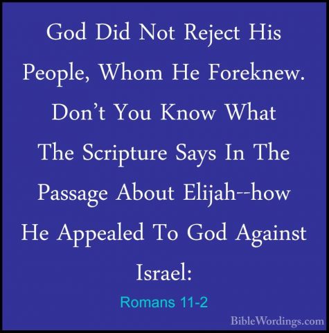Romans 11-2 - God Did Not Reject His People, Whom He Foreknew. DoGod Did Not Reject His People, Whom He Foreknew. Don't You Know What The Scripture Says In The Passage About Elijah--how He Appealed To God Against Israel: 