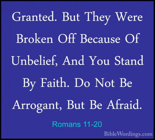 Romans 11-20 - Granted. But They Were Broken Off Because Of UnbelGranted. But They Were Broken Off Because Of Unbelief, And You Stand By Faith. Do Not Be Arrogant, But Be Afraid. 