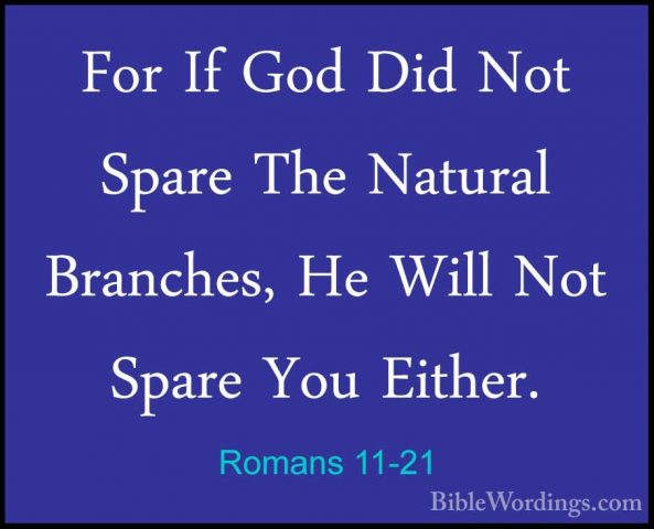 Romans 11-21 - For If God Did Not Spare The Natural Branches, HeFor If God Did Not Spare The Natural Branches, He Will Not Spare You Either. 