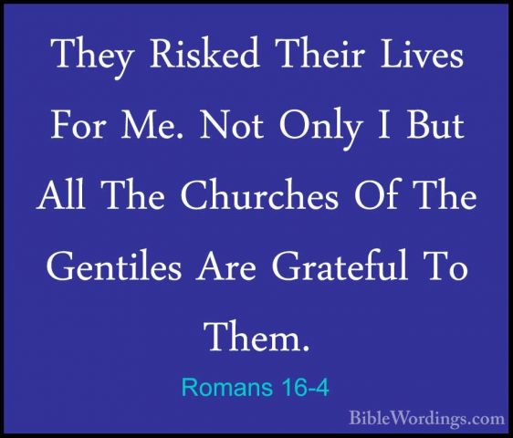 Romans 16-4 - They Risked Their Lives For Me. Not Only I But AllThey Risked Their Lives For Me. Not Only I But All The Churches Of The Gentiles Are Grateful To Them. 