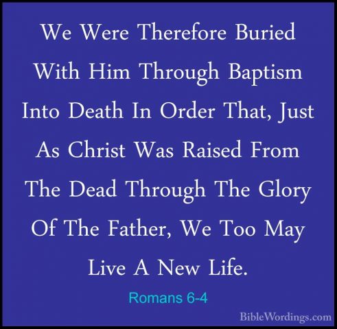Romans 6-4 - We Were Therefore Buried With Him Through Baptism InWe Were Therefore Buried With Him Through Baptism Into Death In Order That, Just As Christ Was Raised From The Dead Through The Glory Of The Father, We Too May Live A New Life. 