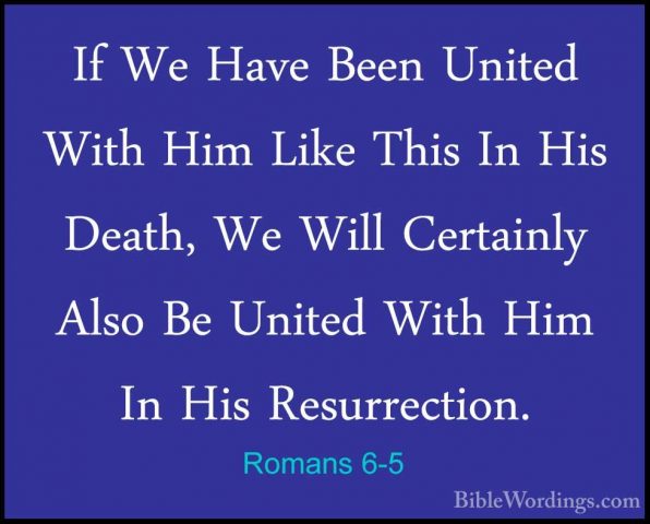 Romans 6-5 - If We Have Been United With Him Like This In His DeaIf We Have Been United With Him Like This In His Death, We Will Certainly Also Be United With Him In His Resurrection. 