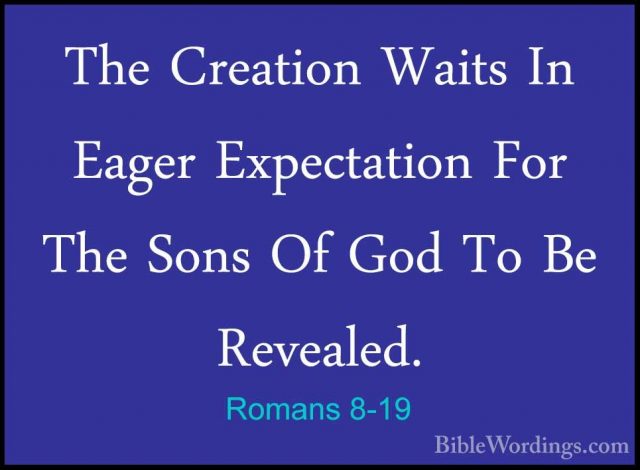 Romans 8-19 - The Creation Waits In Eager Expectation For The SonThe Creation Waits In Eager Expectation For The Sons Of God To Be Revealed. 