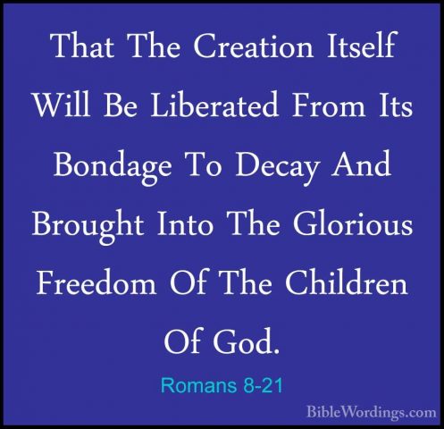 Romans 8-21 - That The Creation Itself Will Be Liberated From ItsThat The Creation Itself Will Be Liberated From Its Bondage To Decay And Brought Into The Glorious Freedom Of The Children Of God. 