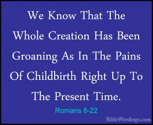 Romans 8-22 - We Know That The Whole Creation Has Been Groaning AWe Know That The Whole Creation Has Been Groaning As In The Pains Of Childbirth Right Up To The Present Time. 