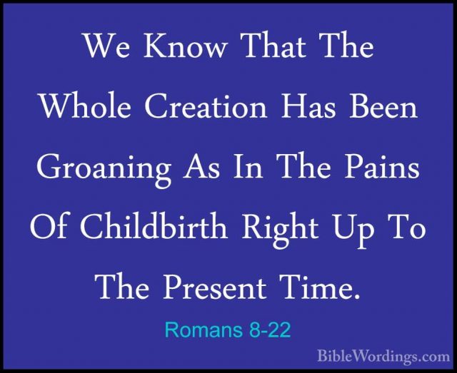 Romans 8 - Holy Bible English - BibleWordings.com