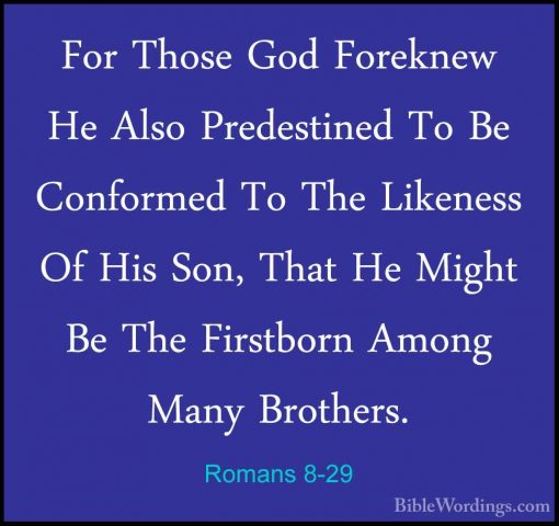 Romans 8-29 - For Those God Foreknew He Also Predestined To Be CoFor Those God Foreknew He Also Predestined To Be Conformed To The Likeness Of His Son, That He Might Be The Firstborn Among Many Brothers. 