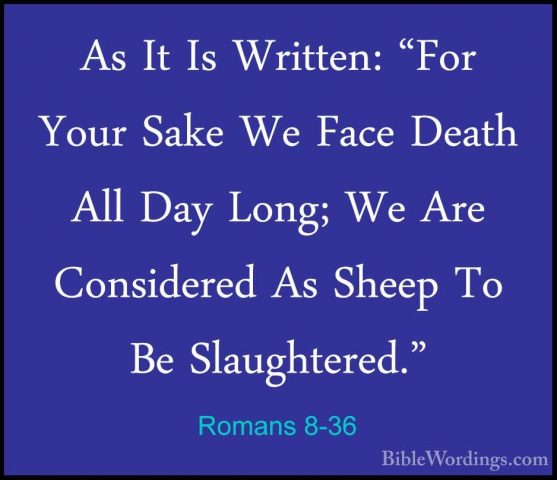 Romans 8-36 - As It Is Written: "For Your Sake We Face Death AllAs It Is Written: "For Your Sake We Face Death All Day Long; We Are Considered As Sheep To Be Slaughtered." 
