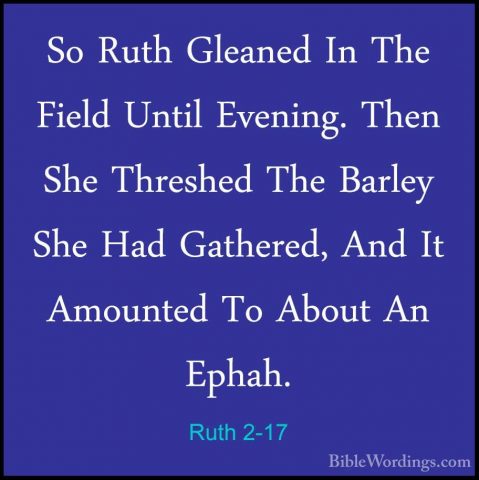 Ruth 2-17 - So Ruth Gleaned In The Field Until Evening. Then SheSo Ruth Gleaned In The Field Until Evening. Then She Threshed The Barley She Had Gathered, And It Amounted To About An Ephah. 
