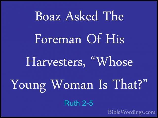 Ruth 2-5 - Boaz Asked The Foreman Of His Harvesters, "Whose YoungBoaz Asked The Foreman Of His Harvesters, "Whose Young Woman Is That?" 