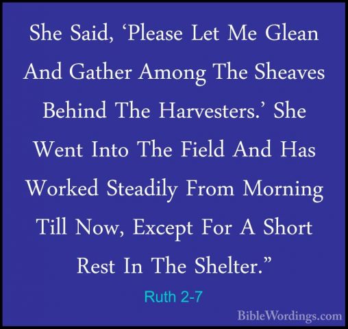 Ruth 2-7 - She Said, 'Please Let Me Glean And Gather Among The ShShe Said, 'Please Let Me Glean And Gather Among The Sheaves Behind The Harvesters.' She Went Into The Field And Has Worked Steadily From Morning Till Now, Except For A Short Rest In The Shelter." 