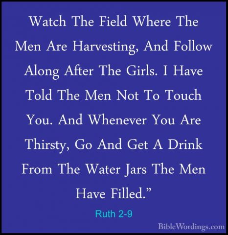 Ruth 2-9 - Watch The Field Where The Men Are Harvesting, And FollWatch The Field Where The Men Are Harvesting, And Follow Along After The Girls. I Have Told The Men Not To Touch You. And Whenever You Are Thirsty, Go And Get A Drink From The Water Jars The Men Have Filled." 
