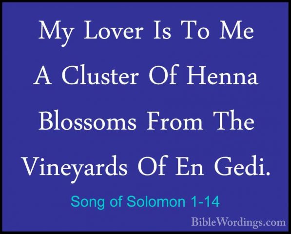 Song of Solomon 1-14 - My Lover Is To Me A Cluster Of Henna BlossMy Lover Is To Me A Cluster Of Henna Blossoms From The Vineyards Of En Gedi. 