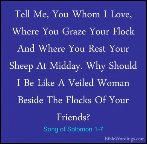 Song of Solomon 1-7 - Tell Me, You Whom I Love, Where You Graze YTell Me, You Whom I Love, Where You Graze Your Flock And Where You Rest Your Sheep At Midday. Why Should I Be Like A Veiled Woman Beside The Flocks Of Your Friends? 