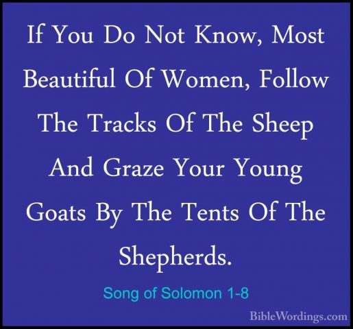 Song of Solomon 1-8 - If You Do Not Know, Most Beautiful Of WomenIf You Do Not Know, Most Beautiful Of Women, Follow The Tracks Of The Sheep And Graze Your Young Goats By The Tents Of The Shepherds. 
