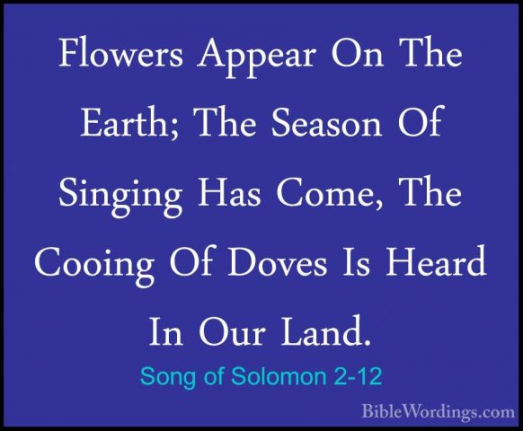Song of Solomon 2-12 - Flowers Appear On The Earth; The Season OfFlowers Appear On The Earth; The Season Of Singing Has Come, The Cooing Of Doves Is Heard In Our Land. 