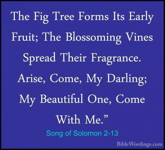 Song of Solomon 2-13 - The Fig Tree Forms Its Early Fruit; The BlThe Fig Tree Forms Its Early Fruit; The Blossoming Vines Spread Their Fragrance. Arise, Come, My Darling; My Beautiful One, Come With Me." 