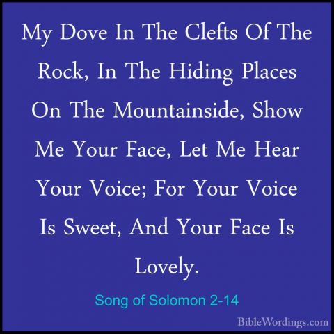 Song of Solomon 2-14 - My Dove In The Clefts Of The Rock, In TheMy Dove In The Clefts Of The Rock, In The Hiding Places On The Mountainside, Show Me Your Face, Let Me Hear Your Voice; For Your Voice Is Sweet, And Your Face Is Lovely. 