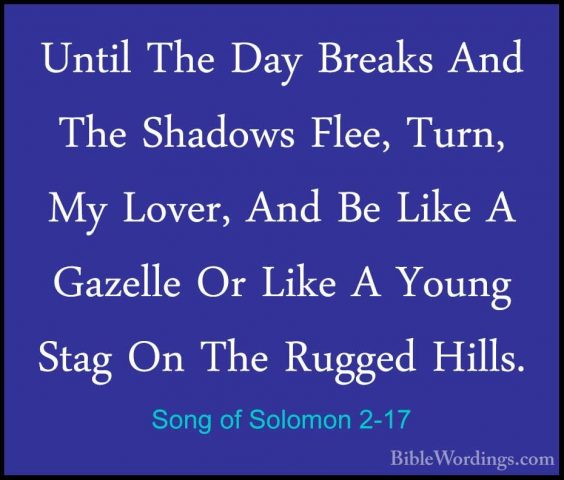 Song of Solomon 2-17 - Until The Day Breaks And The Shadows Flee,Until The Day Breaks And The Shadows Flee, Turn, My Lover, And Be Like A Gazelle Or Like A Young Stag On The Rugged Hills.