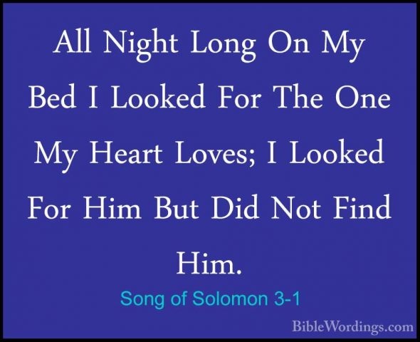 Song of Solomon 3-1 - All Night Long On My Bed I Looked For The OAll Night Long On My Bed I Looked For The One My Heart Loves; I Looked For Him But Did Not Find Him. 