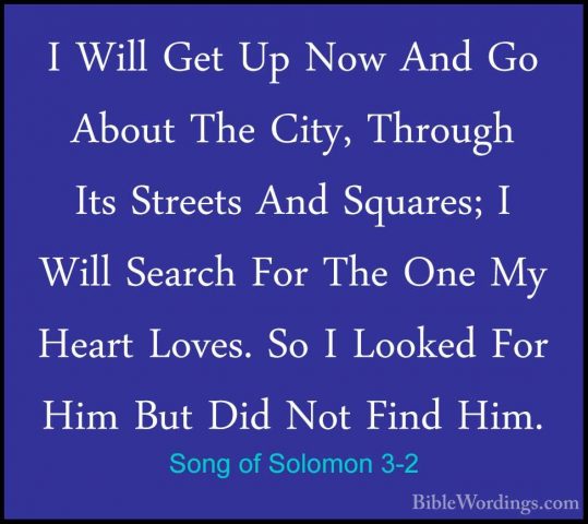 Song of Solomon 3-2 - I Will Get Up Now And Go About The City, ThI Will Get Up Now And Go About The City, Through Its Streets And Squares; I Will Search For The One My Heart Loves. So I Looked For Him But Did Not Find Him. 