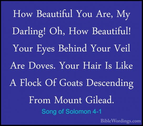 Song of Solomon 4-1 - How Beautiful You Are, My Darling! Oh, HowHow Beautiful You Are, My Darling! Oh, How Beautiful! Your Eyes Behind Your Veil Are Doves. Your Hair Is Like A Flock Of Goats Descending From Mount Gilead. 