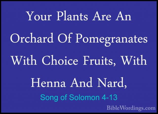 Song of Solomon 4-13 - Your Plants Are An Orchard Of PomegranatesYour Plants Are An Orchard Of Pomegranates With Choice Fruits, With Henna And Nard, 