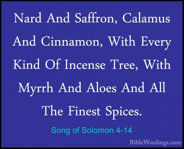 Song of Solomon 4-14 - Nard And Saffron, Calamus And Cinnamon, WiNard And Saffron, Calamus And Cinnamon, With Every Kind Of Incense Tree, With Myrrh And Aloes And All The Finest Spices. 