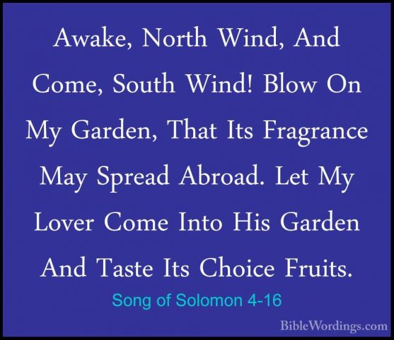 Song of Solomon 4-16 - Awake, North Wind, And Come, South Wind! BAwake, North Wind, And Come, South Wind! Blow On My Garden, That Its Fragrance May Spread Abroad. Let My Lover Come Into His Garden And Taste Its Choice Fruits.