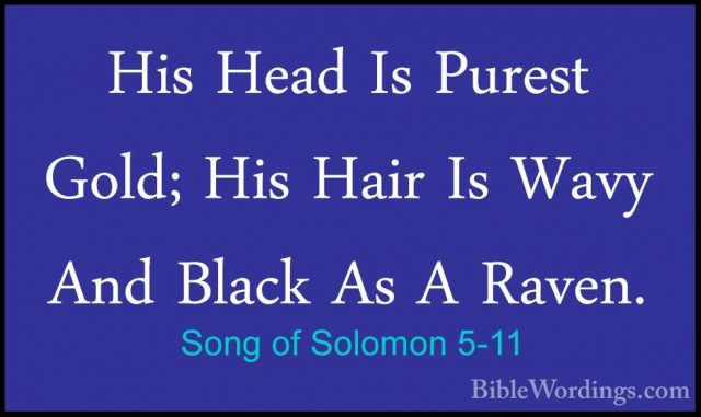 Song of Solomon 5-11 - His Head Is Purest Gold; His Hair Is WavyHis Head Is Purest Gold; His Hair Is Wavy And Black As A Raven. 