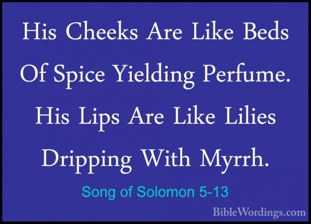 Song of Solomon 5-13 - His Cheeks Are Like Beds Of Spice YieldingHis Cheeks Are Like Beds Of Spice Yielding Perfume. His Lips Are Like Lilies Dripping With Myrrh. 