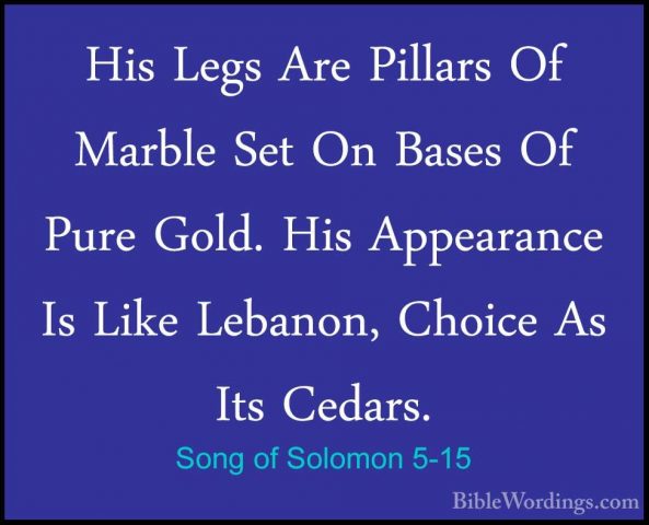 Song of Solomon 5-15 - His Legs Are Pillars Of Marble Set On BaseHis Legs Are Pillars Of Marble Set On Bases Of Pure Gold. His Appearance Is Like Lebanon, Choice As Its Cedars. 