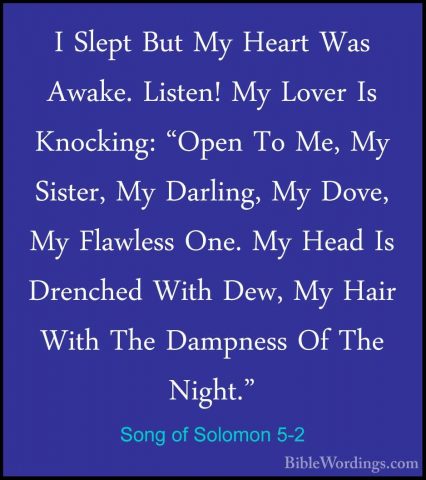 Song of Solomon 5-2 - I Slept But My Heart Was Awake. Listen! MyI Slept But My Heart Was Awake. Listen! My Lover Is Knocking: "Open To Me, My Sister, My Darling, My Dove, My Flawless One. My Head Is Drenched With Dew, My Hair With The Dampness Of The Night." 