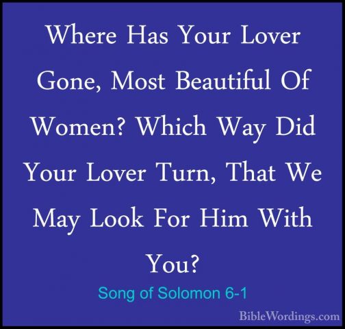 Song of Solomon 6-1 - Where Has Your Lover Gone, Most Beautiful OWhere Has Your Lover Gone, Most Beautiful Of Women? Which Way Did Your Lover Turn, That We May Look For Him With You? 