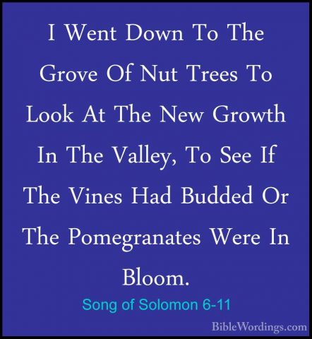 Song of Solomon 6-11 - I Went Down To The Grove Of Nut Trees To LI Went Down To The Grove Of Nut Trees To Look At The New Growth In The Valley, To See If The Vines Had Budded Or The Pomegranates Were In Bloom. 
