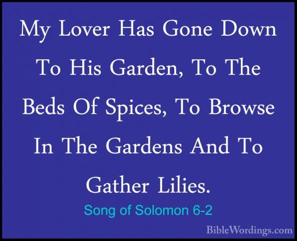 Song of Solomon 6-2 - My Lover Has Gone Down To His Garden, To ThMy Lover Has Gone Down To His Garden, To The Beds Of Spices, To Browse In The Gardens And To Gather Lilies. 