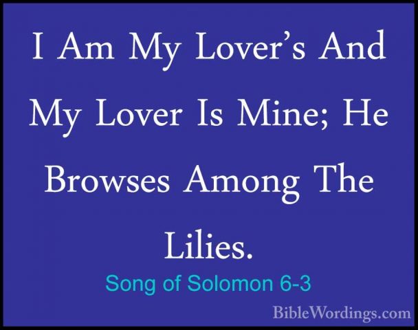Song of Solomon 6-3 - I Am My Lover's And My Lover Is Mine; He BrI Am My Lover's And My Lover Is Mine; He Browses Among The Lilies. 