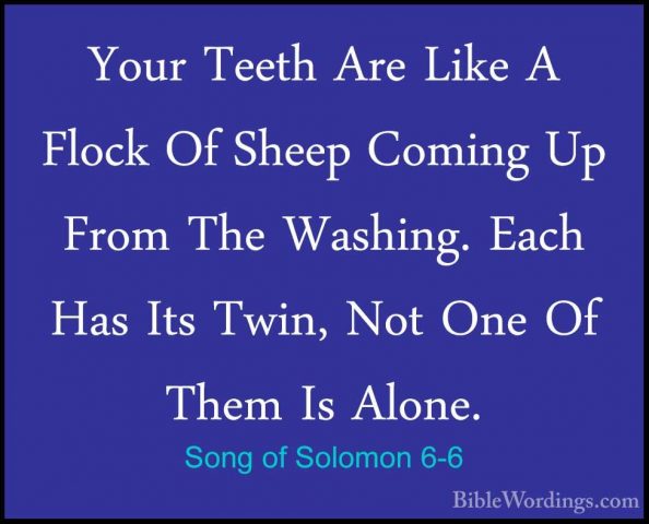 Song of Solomon 6-6 - Your Teeth Are Like A Flock Of Sheep ComingYour Teeth Are Like A Flock Of Sheep Coming Up From The Washing. Each Has Its Twin, Not One Of Them Is Alone. 