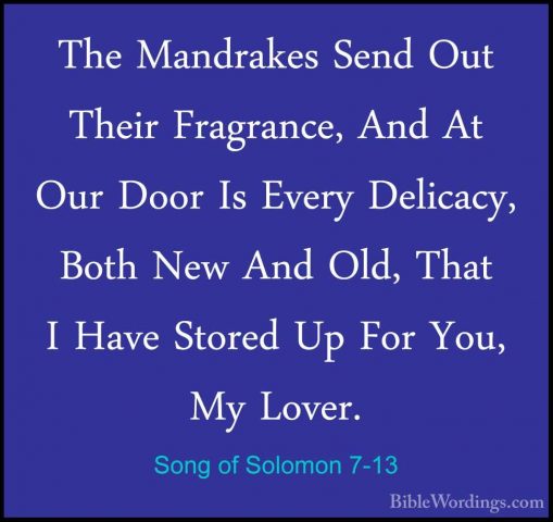 Song of Solomon 7-13 - The Mandrakes Send Out Their Fragrance, AnThe Mandrakes Send Out Their Fragrance, And At Our Door Is Every Delicacy, Both New And Old, That I Have Stored Up For You, My Lover.